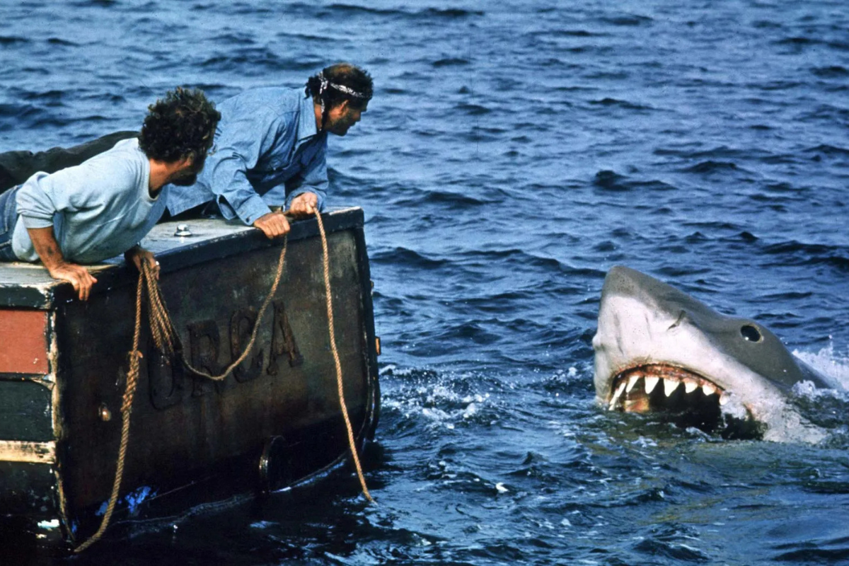 Jaws 50 yaşında, köpekbalıkları hâlâ travmada