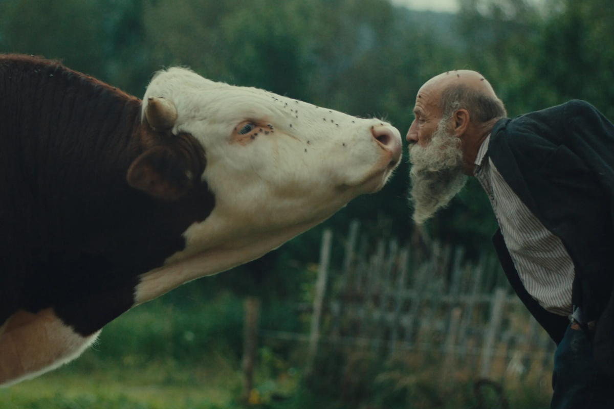 Filmekimi’ne geri sayım başladı